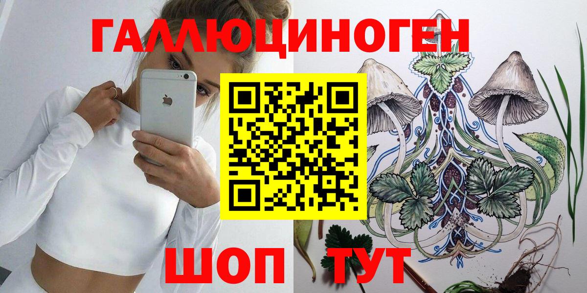Псилоцибиновые грибы прущие грибы Грозный