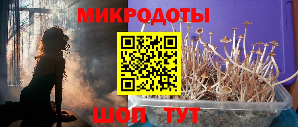 Галлюциногенные грибы GOLDEN TEACHER  Псилоцибиновые грибы GOLDEN TEACHER  Вход с VPN  Грозный 