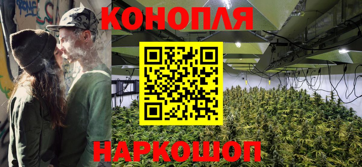 Бошки марихуана планчик  Вход с VPN  Бошки марихуана OG Kush  Грозный  Канабис LSD WEED 